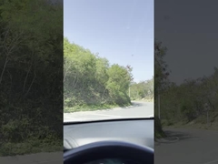 ゴム 折りたたみ バック ワイパー 刃 流行 裏風車窓 ワイパー 交換